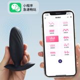 Plug phích cắm hậu môn rung sạc USB Roselex Humid App