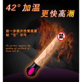 Dương vật giả rung phát nhiệt sạc USB XINLV