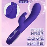 Dương vật giả rung sạc USB Pretty Love Cerberus-Youth