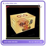 Bao cao su Olo Gama Voi Vàng Gân Bi hộp 10 chiếc chính hãng