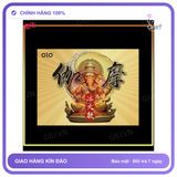 Bao cao su Olo Gama Voi Vàng Gân Bi hộp 10 chiếc chính hãng
