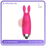 Đạn rung massage XYZ Pocket Vibe Thỏ chính hãng