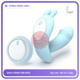Chíp rung Little Dance remote