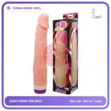 Dương vật giả Baile 2 Pin