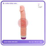 Dương vật giả Baile 2 Pin