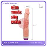 Dương vật giả Baile 2 Pin