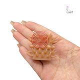 Combo 3 đôn dên khúc giữa có nhiều gai bi