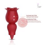 Bông hồng tình yêu 2 đầu kép siêu phê