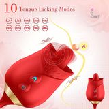 Lưỡi liếm hoa hồng kèm trứng rung nhấp chuyển động đẩy tới và lui xoay bi cực sướng