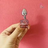 Phích cắm hậu môn Inox mini