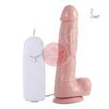 Dương vật giả gắn tường JB Korean rung ngoáy
