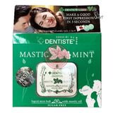 Kẹo ngậm phòng the BJ MASTIC MINT hộp 20v chính hãng