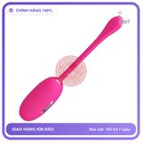 Trứng Rung Prettylove Doreen Điều Khiển Qua Đt chính hãng - 12 chế độ rung, sạc USB, điều khiển từ xa - giao hàng che tên kín đáo