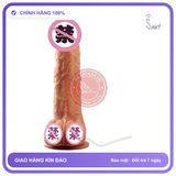 Dương Vật Đóng Thụt Tốt chính hãng - sạc USB, rung nhấp chuyển động đẩy tới và lui tự động, silicone y tế - giao hàng che tên kín đáo