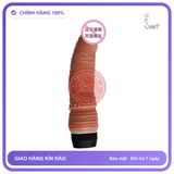 Dương Vật 2 Bin Cong chính hãng - sạc USB, silicone mềm mại, chất liệu an toàn cho da - giao hàng che tên kín đáo