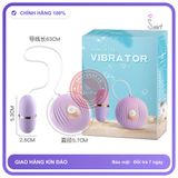 Trứng Rung Vibrator 1 Trứng chính hãng - silicone cao cấp, chất liệu an toàn cho da, dễ vệ sinh - giao hàng che tên kín đáo