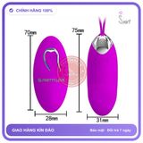 Trứng Rung Prettylove Julia Điều Khiển Từ Xa chính hãng - 12 chế độ rung, sạc USB, rung êm không tiếng động - giao hàng che tên kín đáo