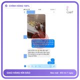 Gel Sìn Sú VIP Hộp 5g chính hãng - kéo dài thời gian, chiết xuất thảo dược, thấm nhanh không nhờn rít - giao hàng che tên kín đáo