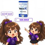 Hỗ trợ bổ thận, tráng dương Maca M Male Power hộp 1 lọ x 60 viên hàng có sẵn