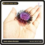 (Che Tên) Vòng Đeo Dương Vật Lông Ngựa 2 tầng Silicon Quét Mạng Nhện Siêu Sướng 323414 - Hàng Mới Về