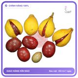 Quả Máu Chó (1kg) chính hãng - trọng lượng 1kg, hàng chuẩn nguồn gốc rõ ràng, dùng đều đặn mỗi ngày - giao hàng che tên kín đáo