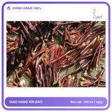 Nấm Linh Chi Sừng Hươu Tây Bắc Khô (1kg) chính hãng - thành phần thiên nhiên, trọng lượng 5g, hàng chuẩn nguồn gốc rõ ràng - giao hàng che tên kín đáo