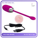 Trứng Rung Tình Yêu Không Dây Nhỏ Gọn Love chính hãng - 12 chế độ rung, sạc usb, điều khiển từ xa - giao hàng che tên kín đáo