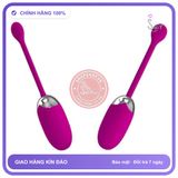 Trứng Rung Tình Yêu Không Dây Nhỏ Gọn Love chính hãng - 12 chế độ rung, sạc usb, điều khiển từ xa - giao hàng che tên kín đáo