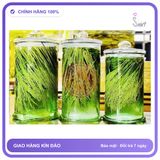 Đòng Đòng Non (1kg) chính hãng - thành phần thiên nhiên, trọng lượng 1kg, hàng chuẩn nguồn gốc rõ ràng - giao hàng che tên kín hàng có sẵn