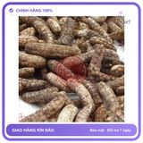 Nguyên liệu bào chế ngâm rượu tăng cường sinh lý nam - Chuối Hột Rừng Khô (1kg) chính hãng - trọng lượng 1kg, hàng chuẩn nguồn gốc rõ ràng, dùng đều đặn mỗi ngày - giao hàng che tên kín đáo