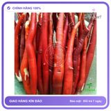 Nguyên liệu bào chế ngâm rượu tăng cường sinh lý nam - Sâm Cau Rừng Tây Bắc (1kg) chính hãng - hỗ trợ tăng cường sinh lý, thành phần thiên nhiên, trọng lượng 20g - giao hàng che tên kín đáo