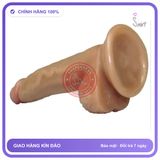 Dương Vật Giả Realistic Dildo 6 Inch Thin Dong chính hãng - sạc USB, silicone mềm mại, chất liệu an toàn cho da - giao hàng che tên kín đáo