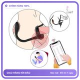 Vòng Rung Dương Vật Kèm Kích Thích Hậu Môn chính hãng - 9 chế độ rung, sạc USB, điều khiển từ xa - giao hàng che tên kín đáo