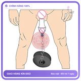 Máy Tập Kéo Dài và Làm Tăng Kích Thước chính hãng - chất liệu an toàn cho da, dễ vệ sinh, êm ái khi dùng - giao hàng che tên kín đáo