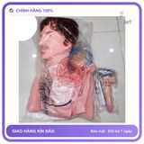 Búp Bê Bơm Hơi Nam Giới Dành Cho Nữ chính hãng - sạc USB, silicone mềm mại, chất liệu an toàn cho da - giao hàng che tên kín đáo