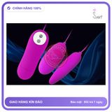 Trứng Rung Mini Cao Cấp 2 Đầu Pretty Love chính hãng - 12 chế độ rung, điều khiển từ xa, rung êm không tiếng động - giao hàng che tên kín đáo