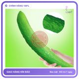 Máy Massa Kích Thích Wiston Cucumber chính hãng - 10 chế độ rung, sạc USB, chống nước - giao hàng che tên kín đáo