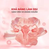 Lovcae Anal - Gel ống bơm 5ml - Gwen Shop Chính Hãng
