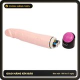 (Che Tên) Dương Vật Giả Cầm Tay 2 Pin Rung Ngoáy Baile 630137 Bảo Mật Tuyệt Đối