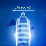 Bao cao su Shell Seahorse - Gân sọc, bạc hà mát lạnh - Hộp 10 cái - Gwen Shop Chính Hãng