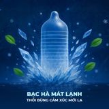 Bao cao su Shell Seahorse - Gân sọc, bạc hà mát lạnh - Hộp 10 cái - Gwen Shop Chính Hãng