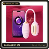(Che Tên) Máy Rung Tình Yêu SVAKOM Natalya App Điều Khiển Bằng Nhịp Điệu Âm Nhạc Cao Cấp Bảo Đảm
