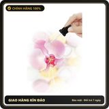 (Che Tên) Gel Tăng Khoái Cảm Quan Hệ Bằng Miệng Orgie Orgasm Drop Kissable 30ml Hỗ Trợ 24/7