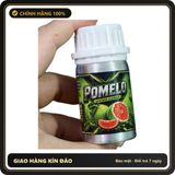 (Che Tên) Popper Khô Pomelo Leather Cleaner USA - Hàng Mới Về