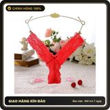 (Che Tên) Quần Lót Ren Lọt Khe Siêu Mỏng Sexy Sịp Nữ Chữ Y Họa Tiết Hoa - T302 Đỏ Chuẩn Auth