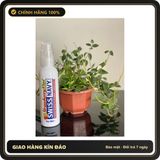 (Che Tên) Gel bô.i trơ.n Gốc Nước Của Mỹ Swiss Navy Strawberry Kiwi 118ml Hộp Trắng Kín