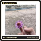 (Che Tên) Bộ 3 vòng đeo có gai mềm hỗ trợ nam giới Chuẩn Auth