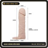 (Che Tên) Bao Cao Su Đôn Dên Pretty Love Penis Sleeve 6.2 Inch – Silicon Cao Cấp Siêu Mềm, Tăng Kích Thước & Kéo Dài Thời Gian (Hộp 1 Cái) Hỗ Trợ 24/7