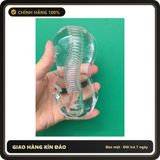 (Che Tên) Khối Silicon Trong Suốt Tập Cơ Tay Cho Nam - Thiết Bị Massage Chuyên Nghiệp Tặng Kèm Kem Giảm Căng Thẳng và Thư Giãn Cơ Bắp Hộp Trắng Kín