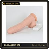 (Che Tên) Dương vật giả JB Korea có rung cao cấp mềm mại, gân guốc có bìu và đế hít đất Chuẩn Auth